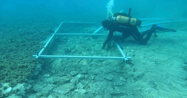 Phát hiện điều không tưởng 7.000 năm tuổi dưới lòng Địa Trung Hải