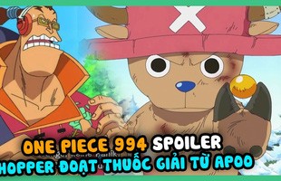 Spoiler đầy đủ One Piece chương 994, đáng buồn tuần sau truyện nghỉ