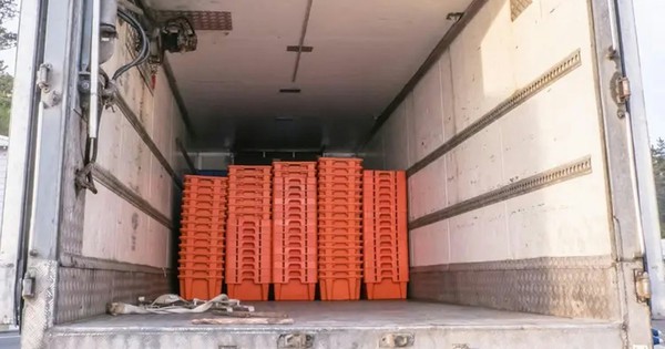 Vụ phát hiện 8 thi thể trong container đông lạnh ở Trung Quốc: Nguyên nhân cuối cùng được công bố