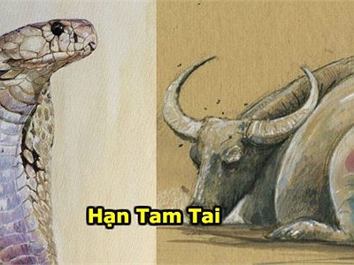 Điểm danh 3 tuổi dễ gặp hạn “tam tai“ trong năm 2019