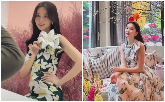 Hoa hậu mọc lên như 