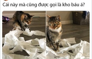 Rảnh rỗi không có gì làm, mọi người trên thế giới rủ nhau chia sẻ ảnh 