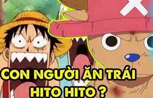 One Piece: Tổng hợp thông tin liên quan tới trái ác quỷ “Thần mặt trời Nika” mà Oda đã tiết lộ