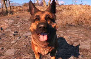 Cộng đồng thương tiếc sự ra đi của River, chú chó linh vật của Fallout 4