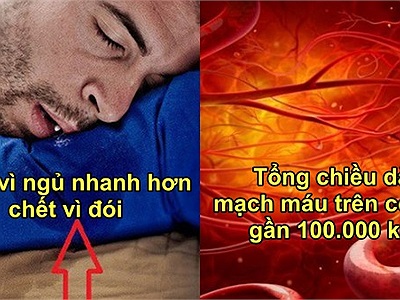 30 sự thật gây choáng về cơ thể con người mà sách giáo khoa 