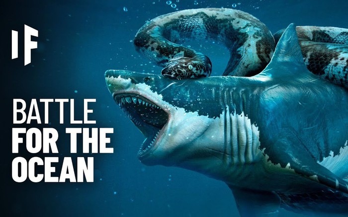 Kết quả khó tin trong trận đấu giữa cá mập Megalodon với loài trăn khổng lồ Titanoboa: Phần thắng không thuộc về kẻ to hơn