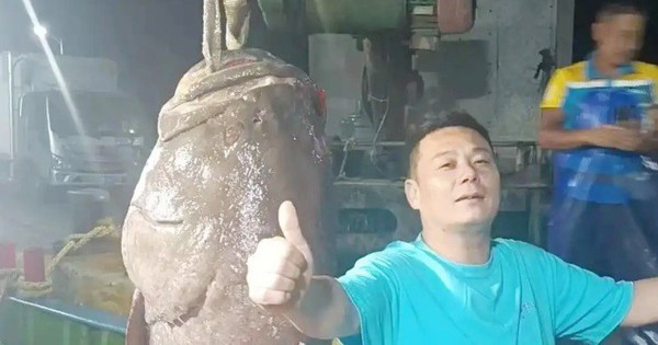 Người đàn ông bắt được 