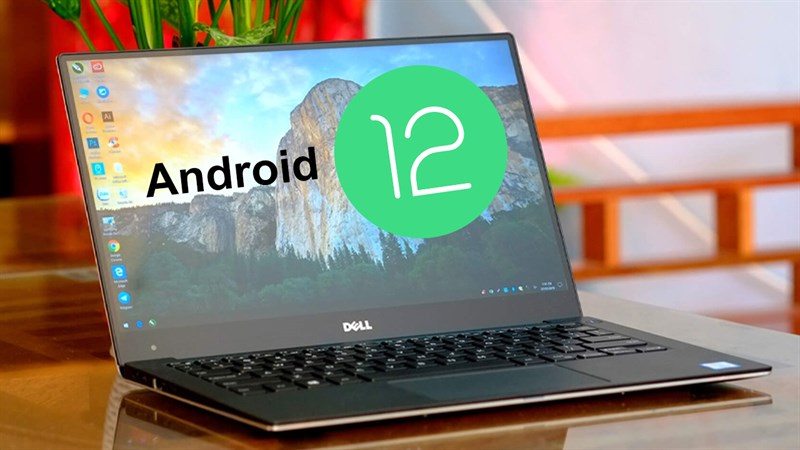 Trải nghiệm Android 12 trên PC Windows. Tại sao không?