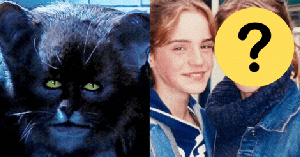 Đúng là cú lừa: Nàng mèo Hermione ở Harry Potter không phải Emma Watson, sau lớp mặt nạ là mỹ nhân đẹp chả thua kém