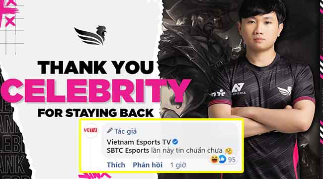 SBTC bất ngờ thông báo Celebrity ở lại, VETV và fan cũng chịu thua vì bị ăn quả lừa