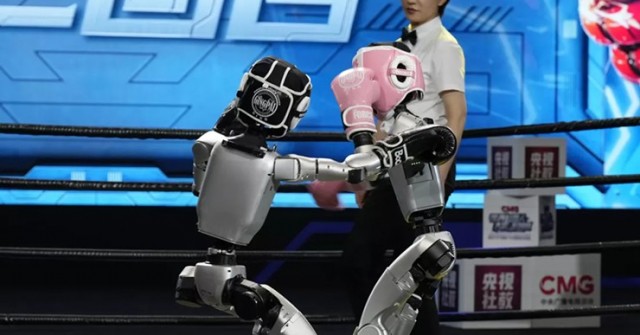 Xem robot hình người Trung Quốc lần đầu tiên lên võ đài trổ tài MMA