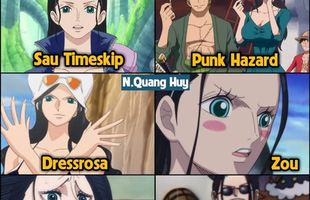 One Piece: Robin và hành trình 