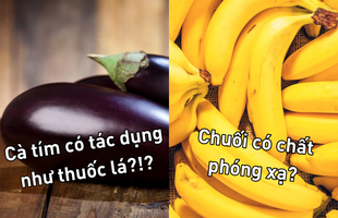 Những kiến thức kỳ thú mà bạn chưa bao giờ từng biết từ trước tới nay