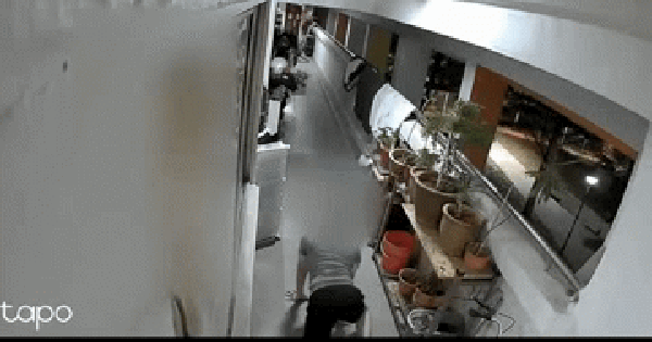 Người đàn ông bò qua nhà vào sáng sớm, gia chủ ngỡ ngàng với diễn biến 'không thể tin nổi' vài phút sau