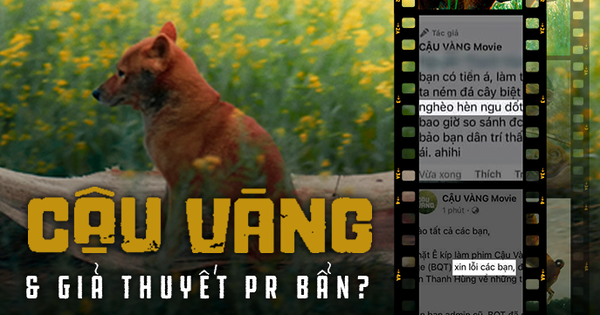 Cậu Vàng chưa kịp bị bán đã bơi trong bể phốt, là ekip vô tâm hay chiêu trò PR bẩn?