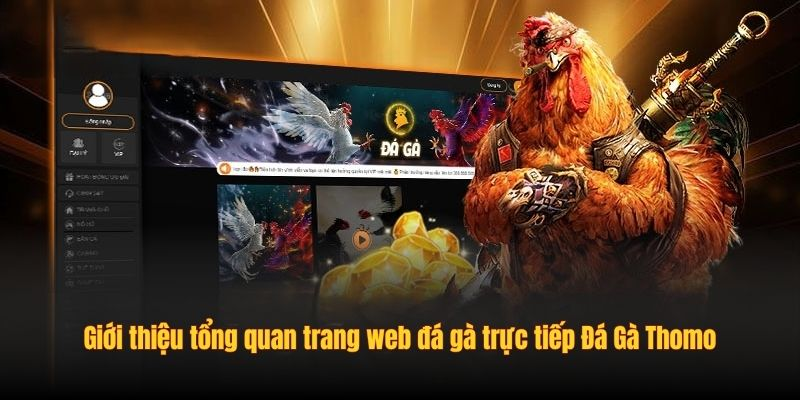 Đá Gà Thomo: Trang Web Đá Gà Trực Tiếp Uy Tín Nhất 2025